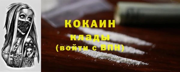 гидра Белокуриха