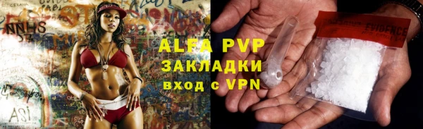 гидра Белокуриха